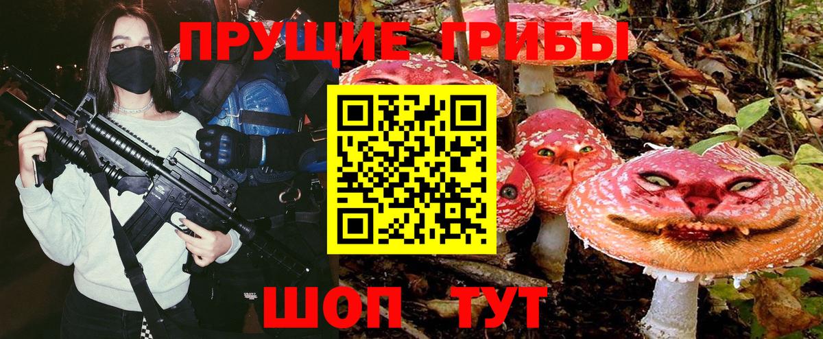 Псилоцибиновые грибы GOLDEN TEACHER Тула